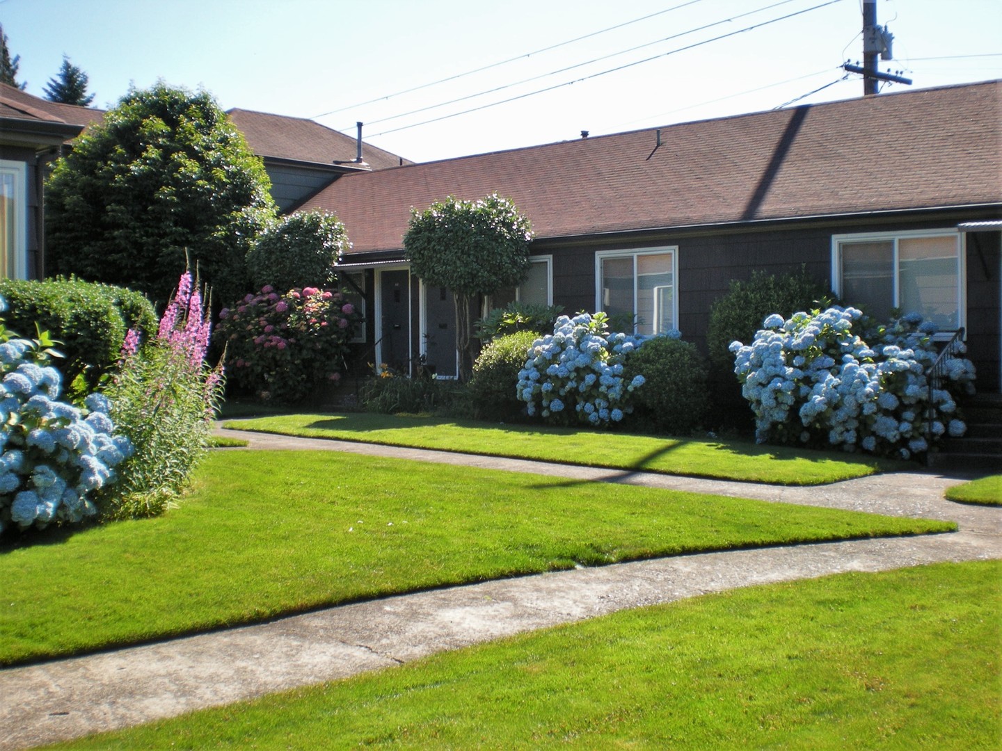 Portland Apartment: NE 60th/61st and Flanders