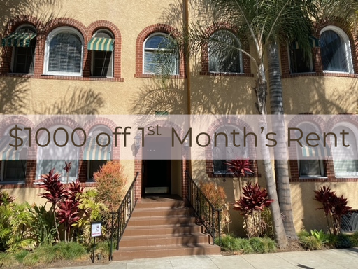 Spacious Studio near Pine Avenue / $1000 off 1st Month's Rent – photo 1