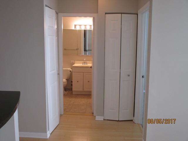 Chicago Condo: 1355 N Sandburg Terrace #1405