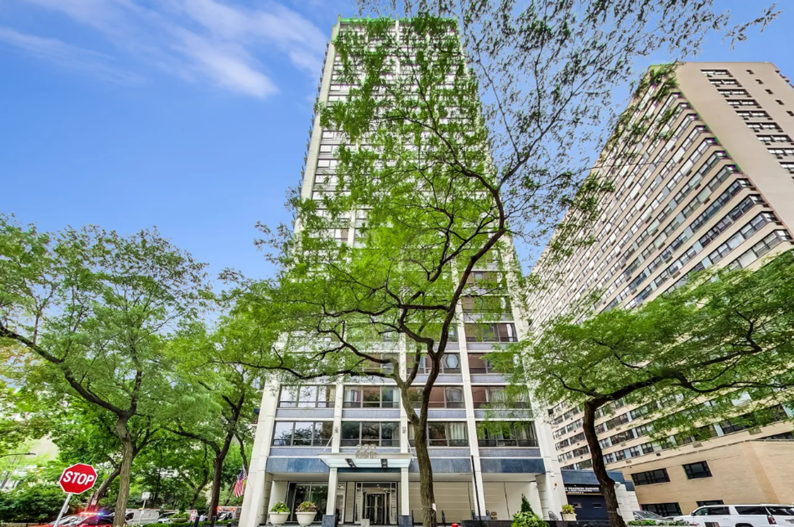 Chicago Condo: 222 E Pearson St
