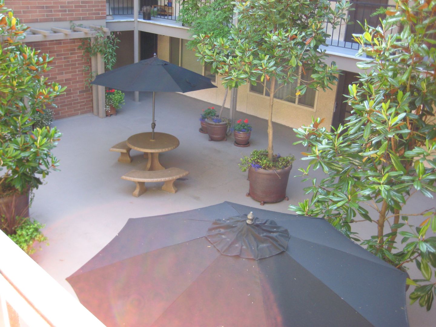 Tacoma Apartment: 522 North 'I' Street
