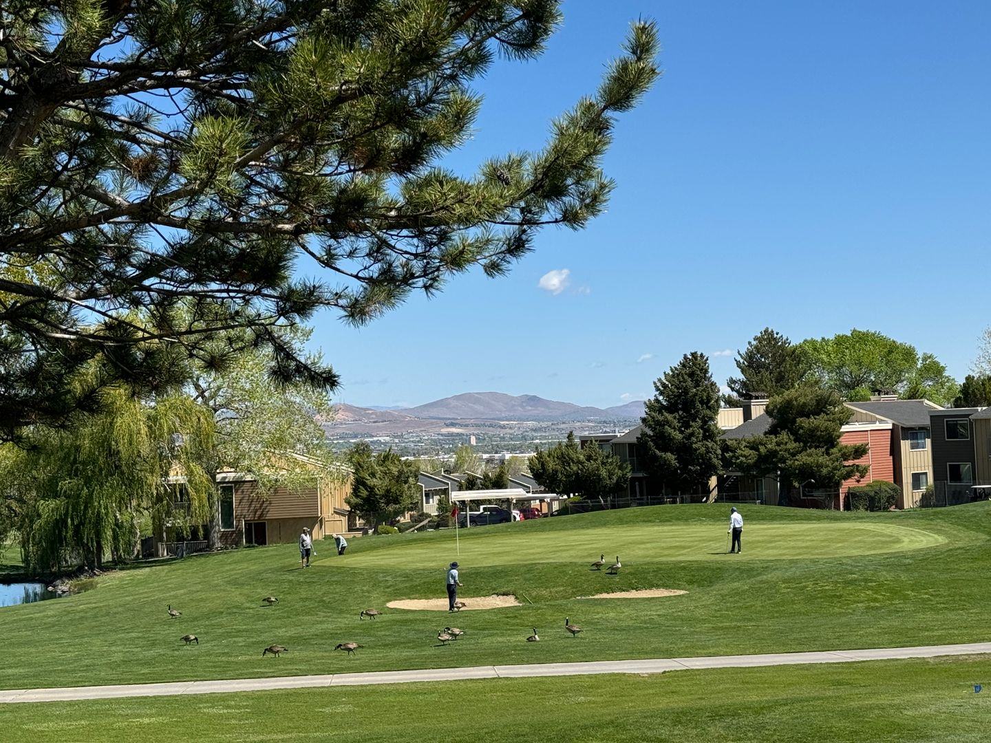 Reno House: 1951 Mountain Vista Way