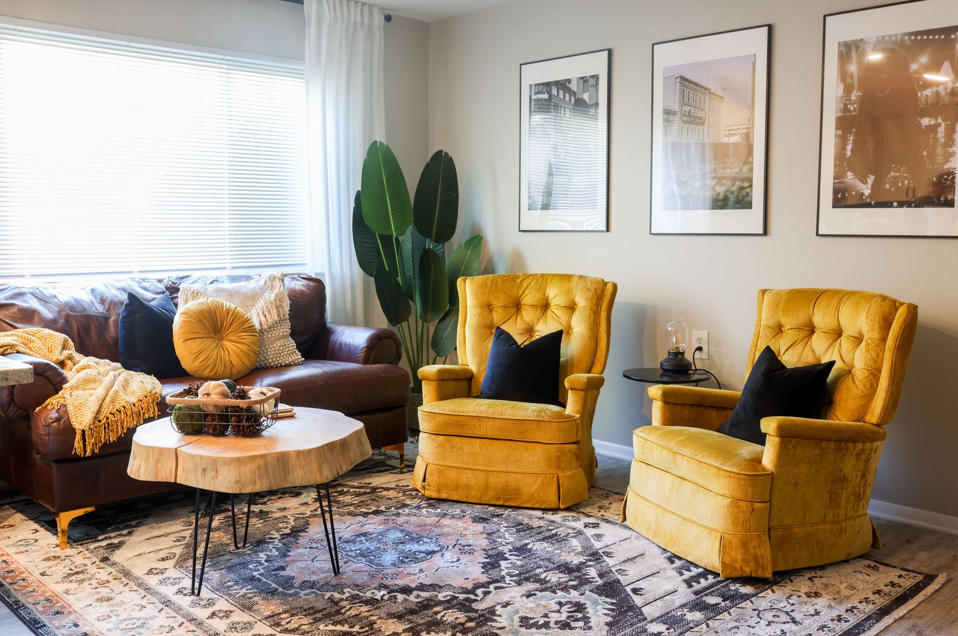Durham Apartment: 901 S Duke St