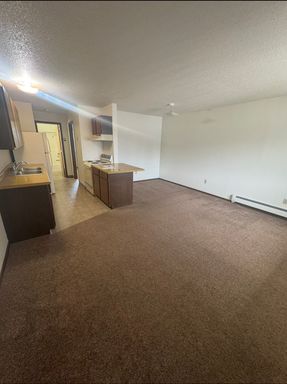 Spacious 1 bedroom 1 bathroom – photo 1