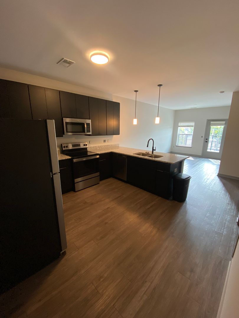 Hamilton Apartment: 316 Main Street