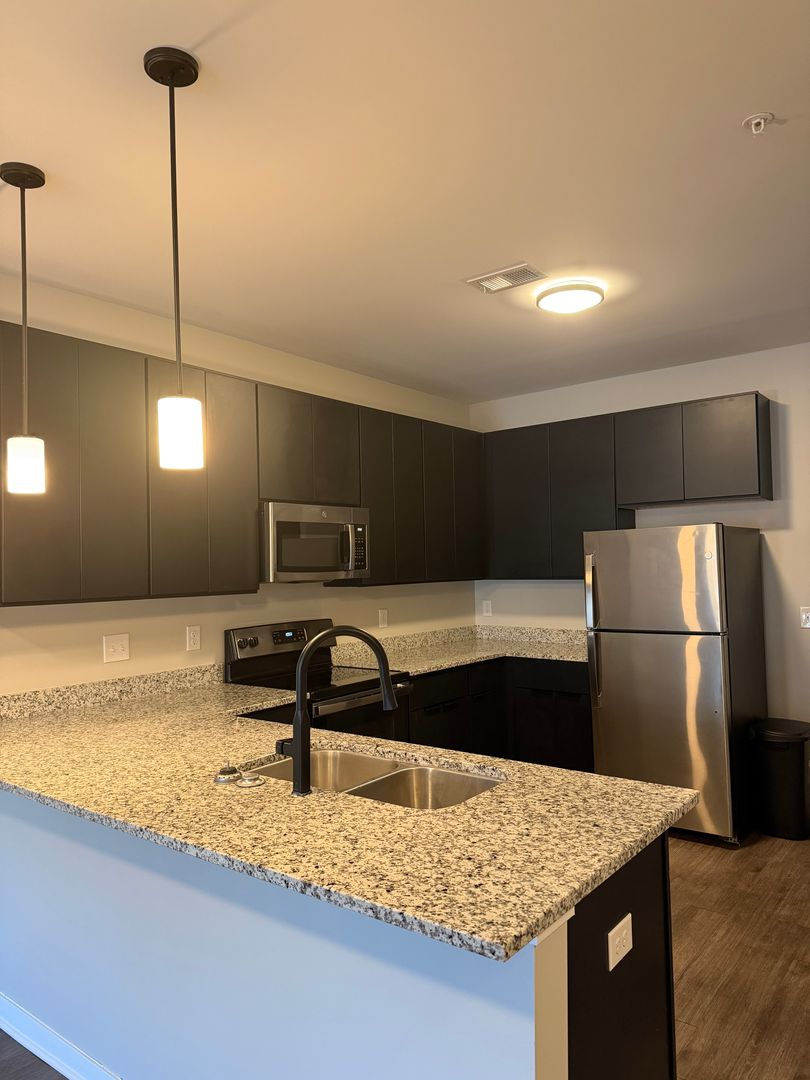 Hamilton Apartment: 316 Main Street