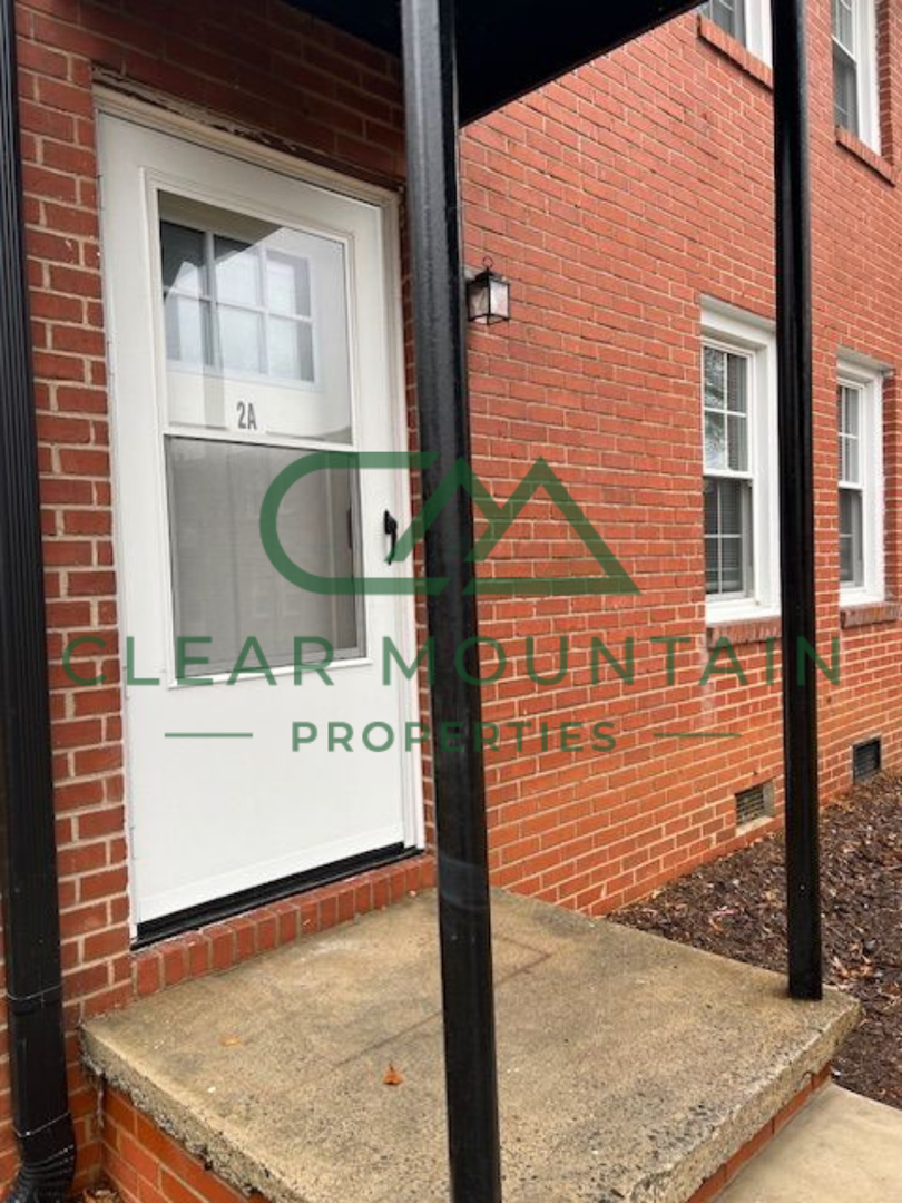 Greenville Apartment: 412 Hagood St