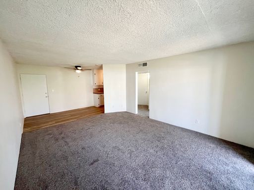 Long Term - 1 Bed 1 Bath in Palm Springs! – photo 1