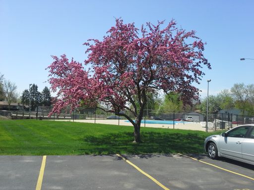 2-bedroom 850sq ft - NEAR IKEA. W/Free Heat!