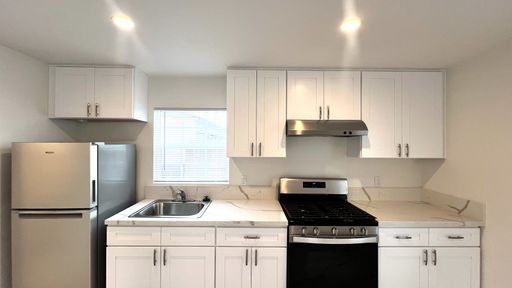 RENOVATED STUDIO IN SOUTH WRIGLEY – photo 1
