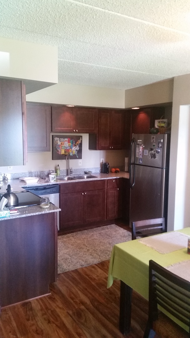 Rochester Apartment: 1609 10th St SE
