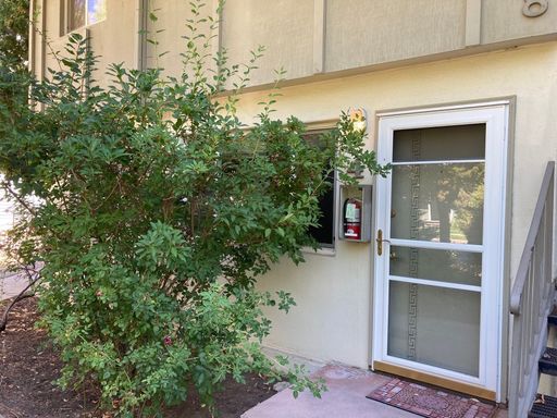1 Bedroom North End Apartment Walking Distance to Hyde Park! – photo 1