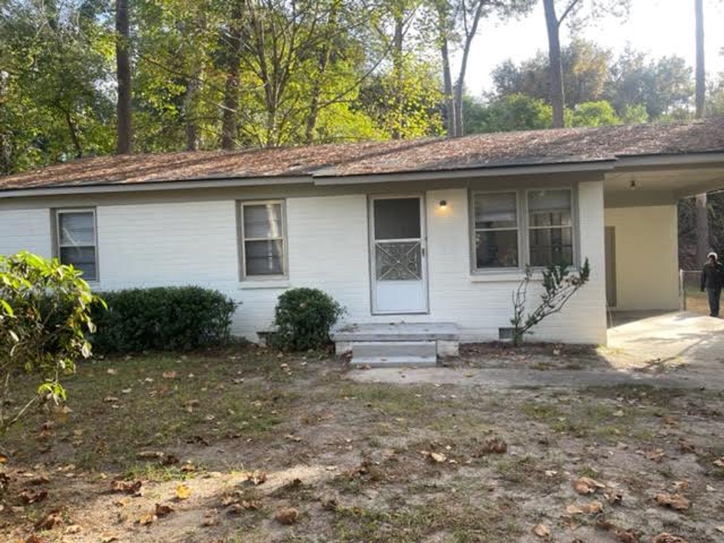 Albany House: 334 Williams Street