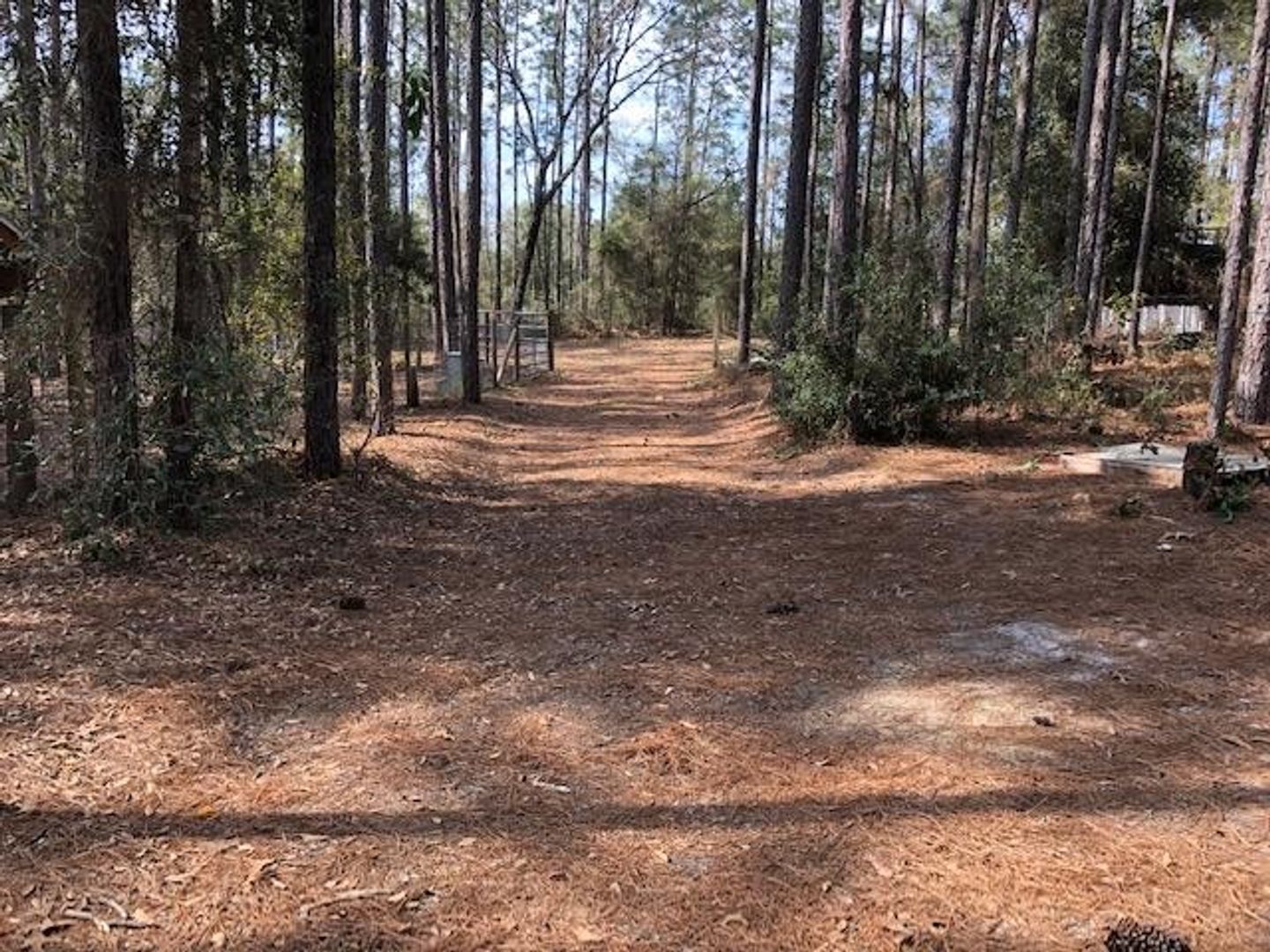 Dunnellon House: 3874 SW 189th Ave