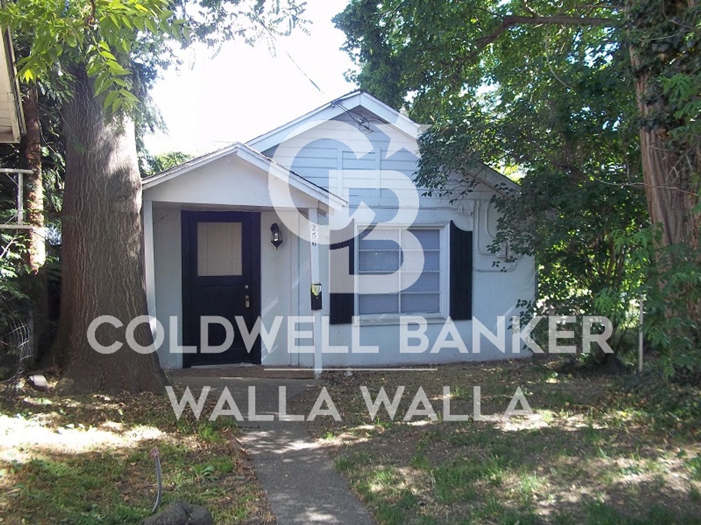 Walla Walla Apartment: 202 S. Palouse