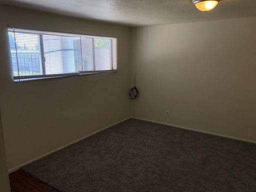 Available September 8th - 2 bedroom 1 bathroom apartment in Downtown! – photo 1