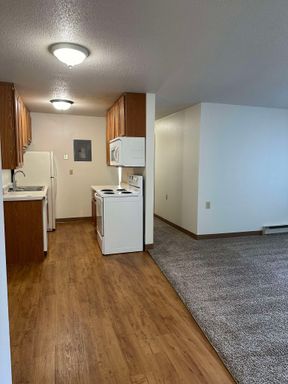 3 Bedroom and 3 Bathroom Layout – photo 1