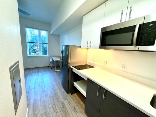 Weekend Special! $500 off First Full Month Rent! Flat Rate Utilities of $75! – photo 1