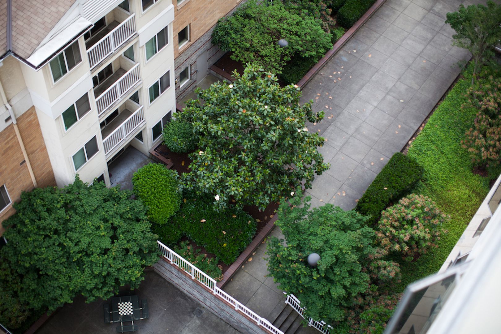 Portland Apartment: Goose Hollow Plaza