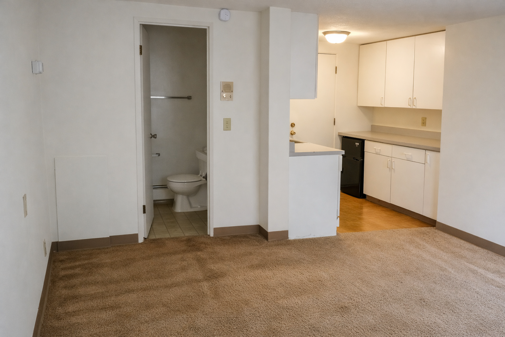Madison Apartment: 126 S Franklin St