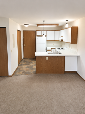 AVAILABLE SEPTEMBER 1ST LAKE FRONT STUDIO | ONE MONTH FREE!! | 404 E Wilson St Apt 303 – photo 1