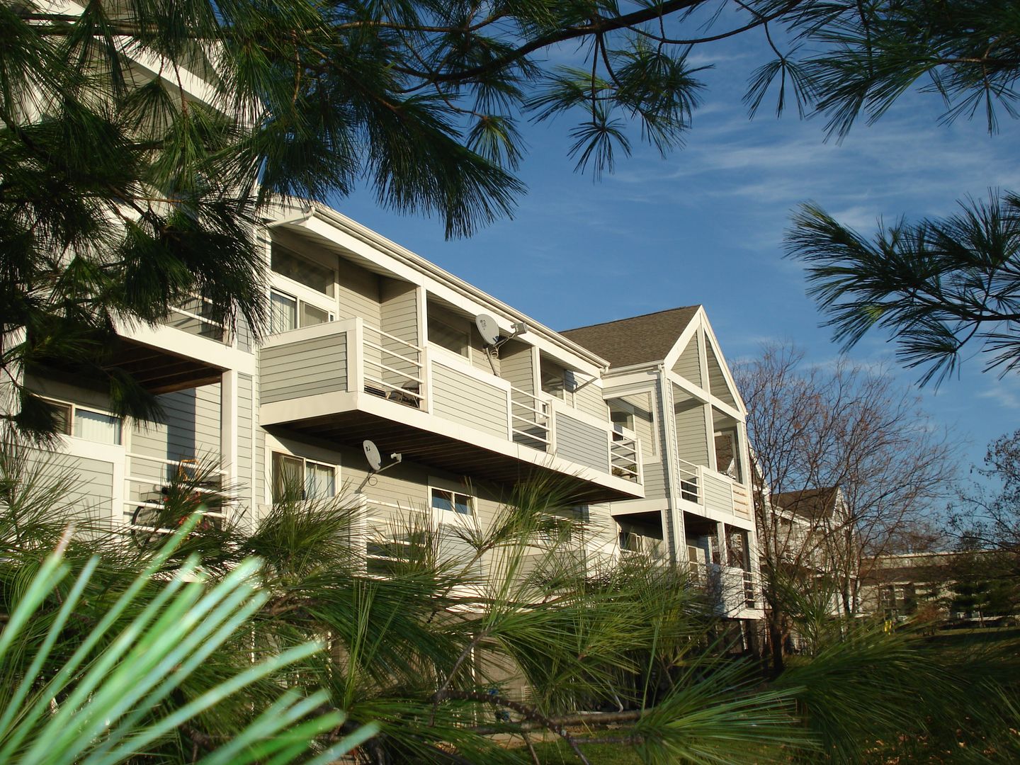 Madison Apartment: 1619 Troy Drive