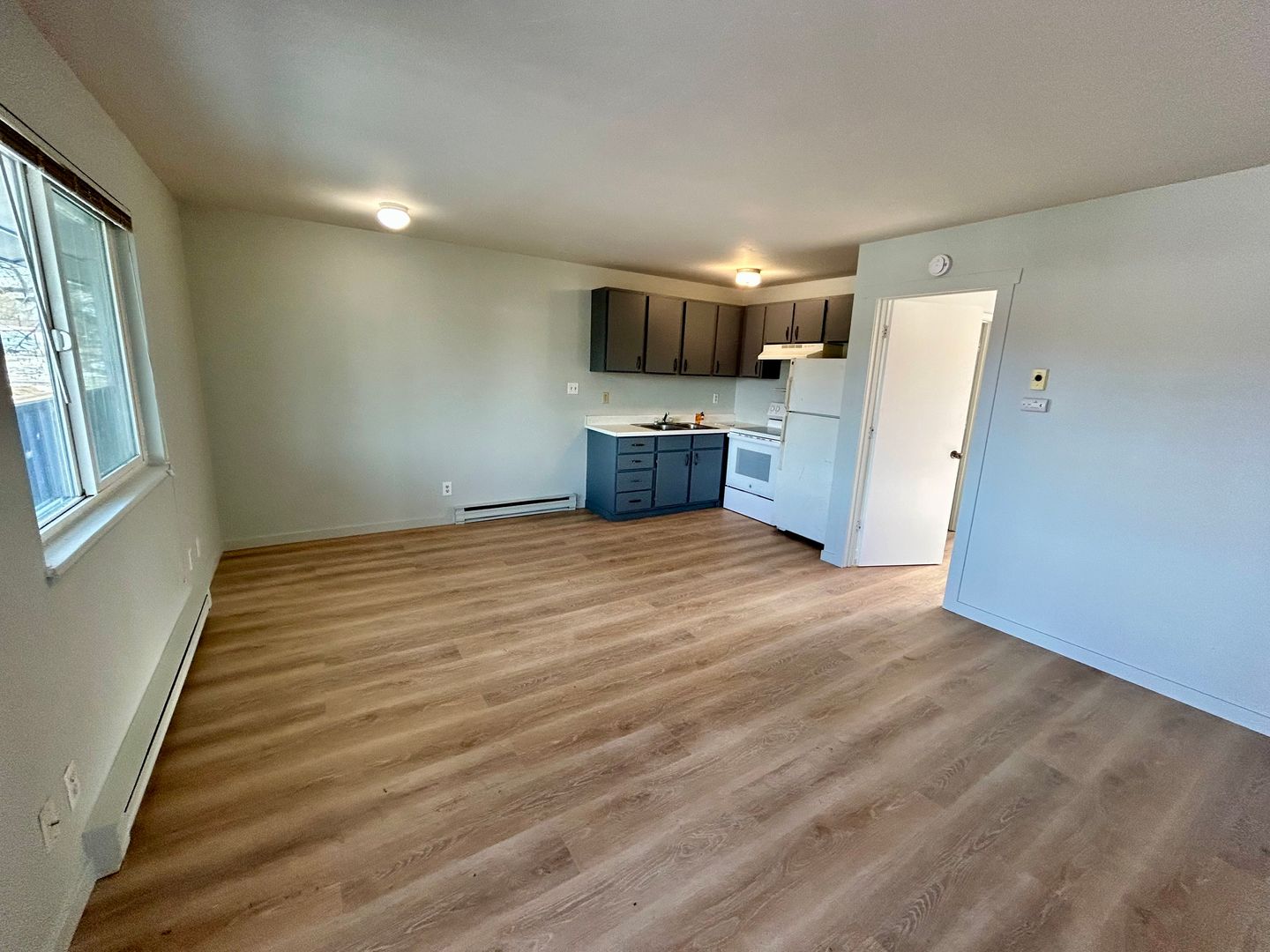 Bayfield Apartment: 399 Mountain View Drive