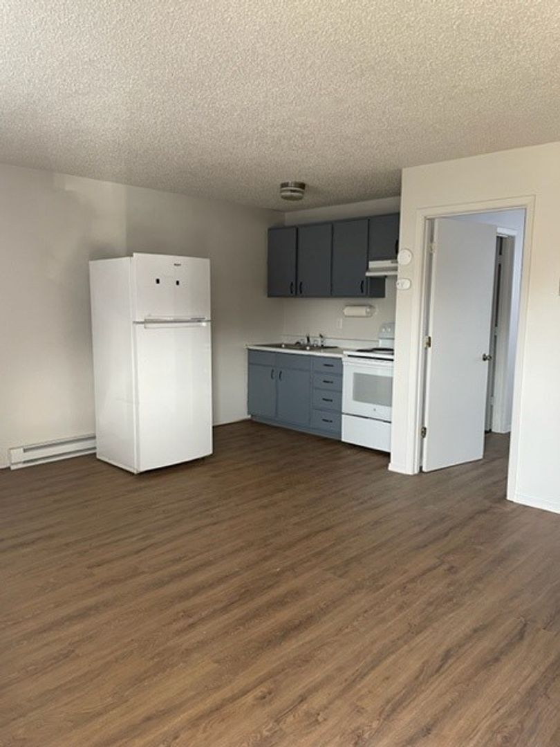 Bayfield Apartment: 399 Mountain View Drive