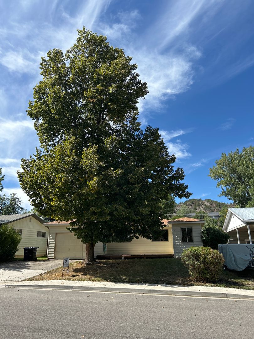 Durango House: 2409 Thomas Ave