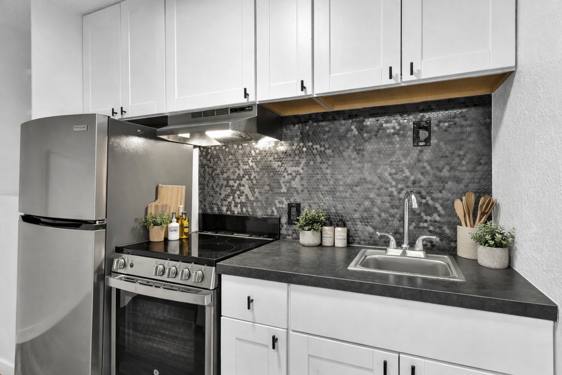 Nampa Apartment: 1309 1st St S