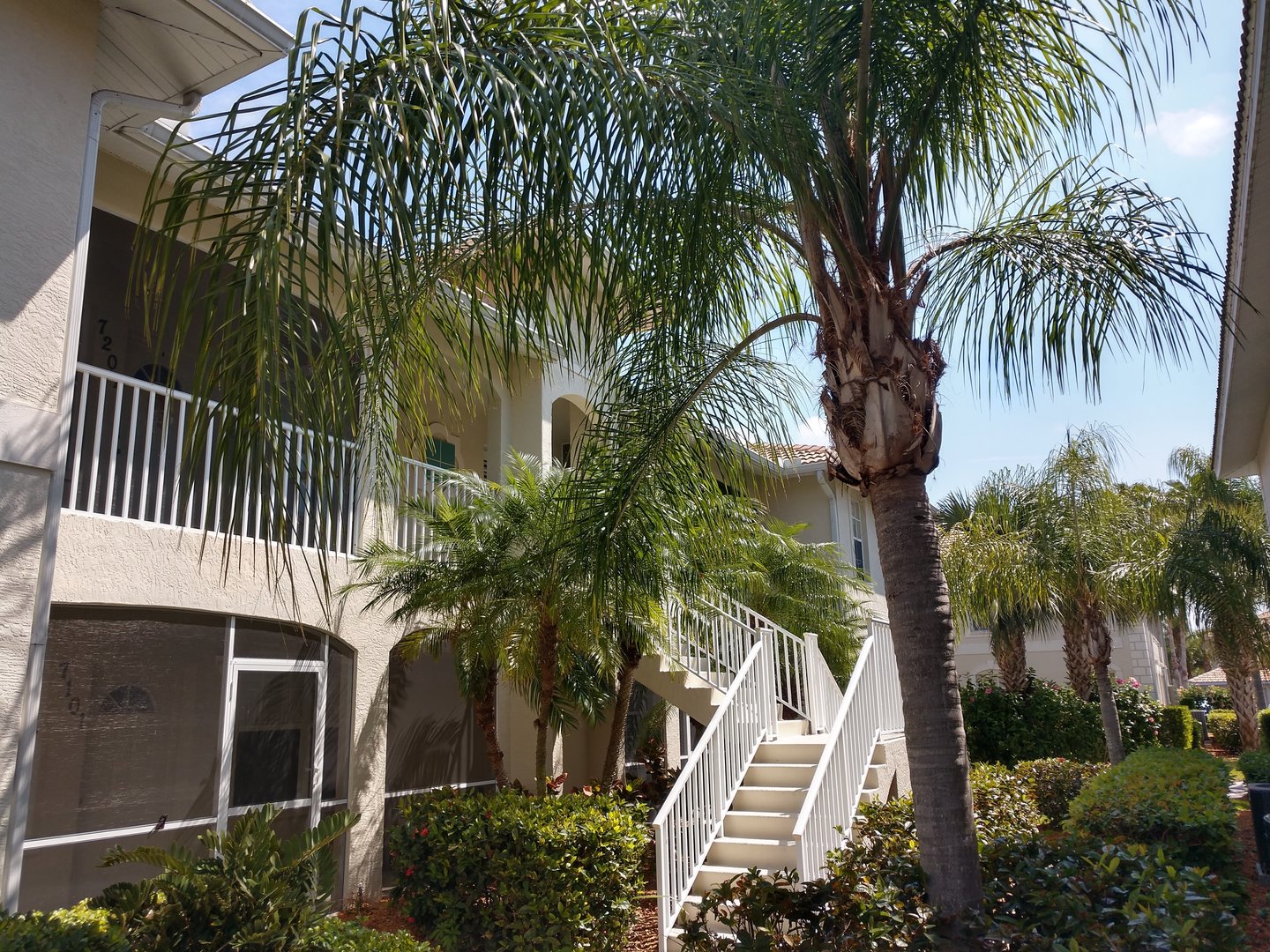 Venice Condo: 7202 L Pavia Blvd. #7202