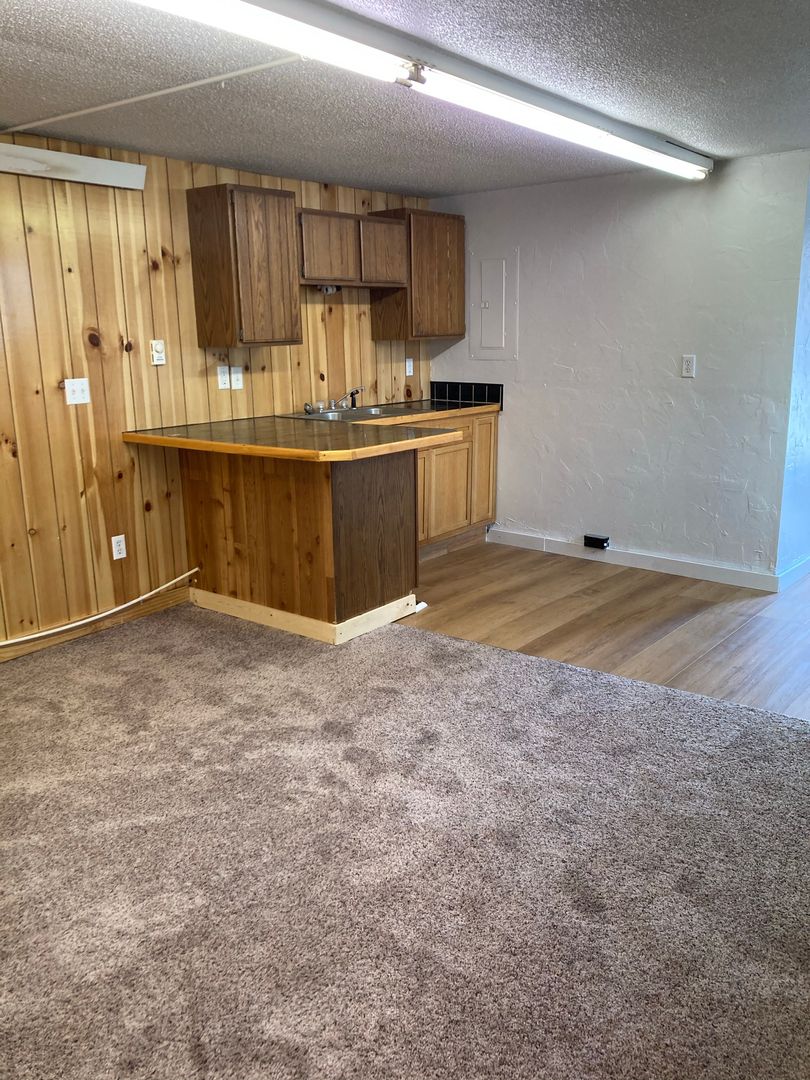 RAPID CITY Apartment: 231 E MAIN ST