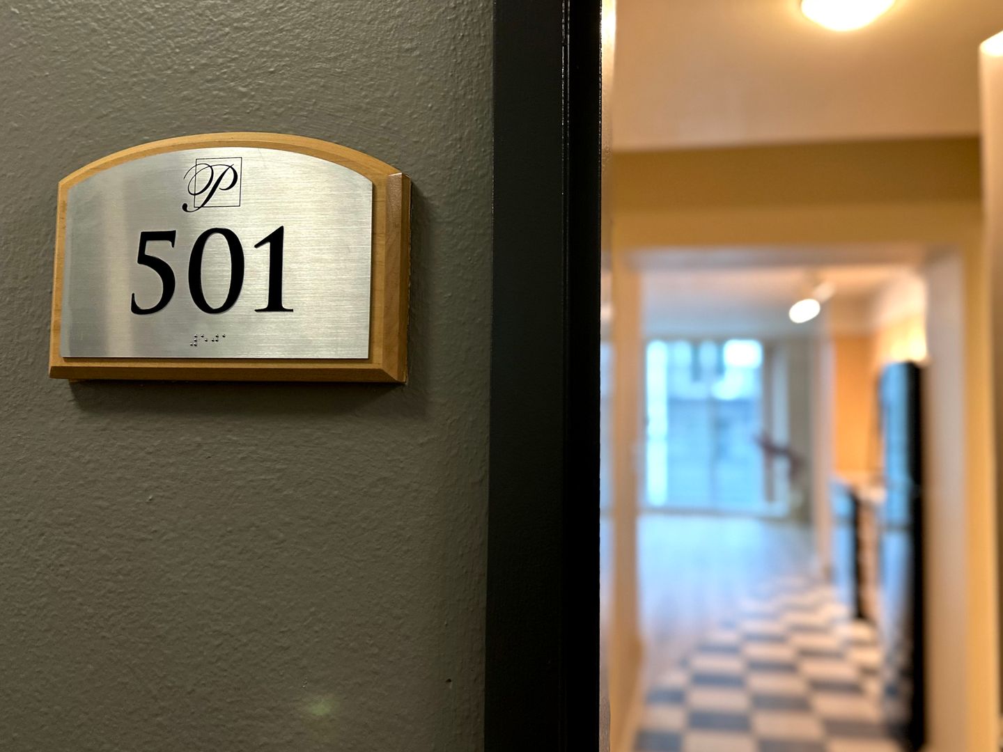 Bellevue Condo: 1100 106th Ave NE, #501