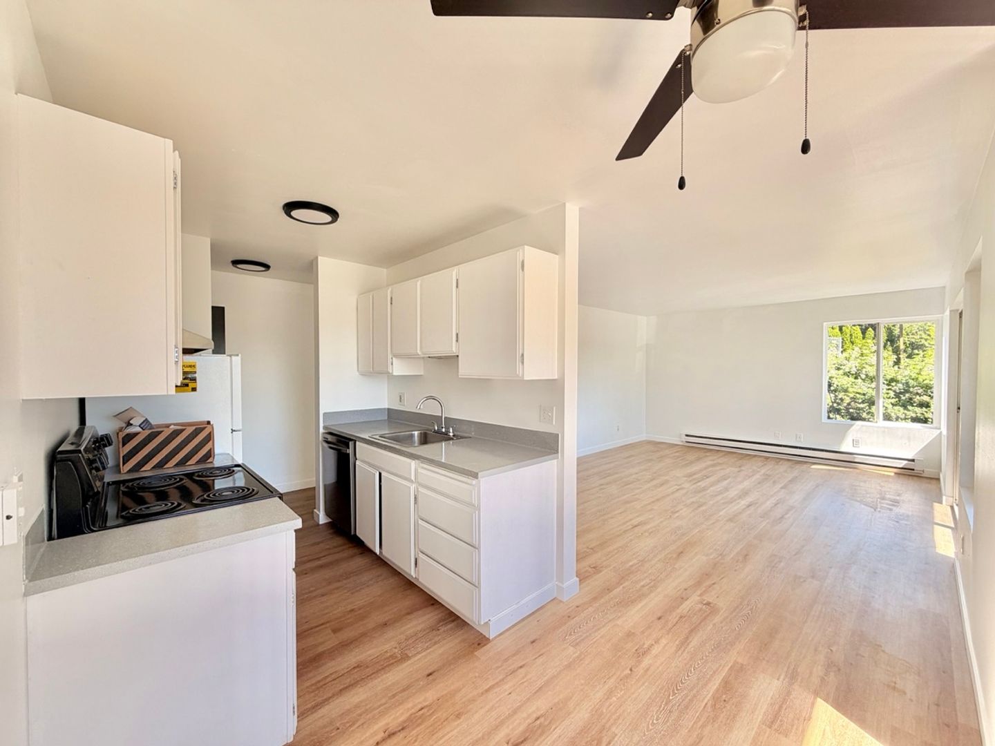 Renton Apartment: 201 Taylor Ave NW