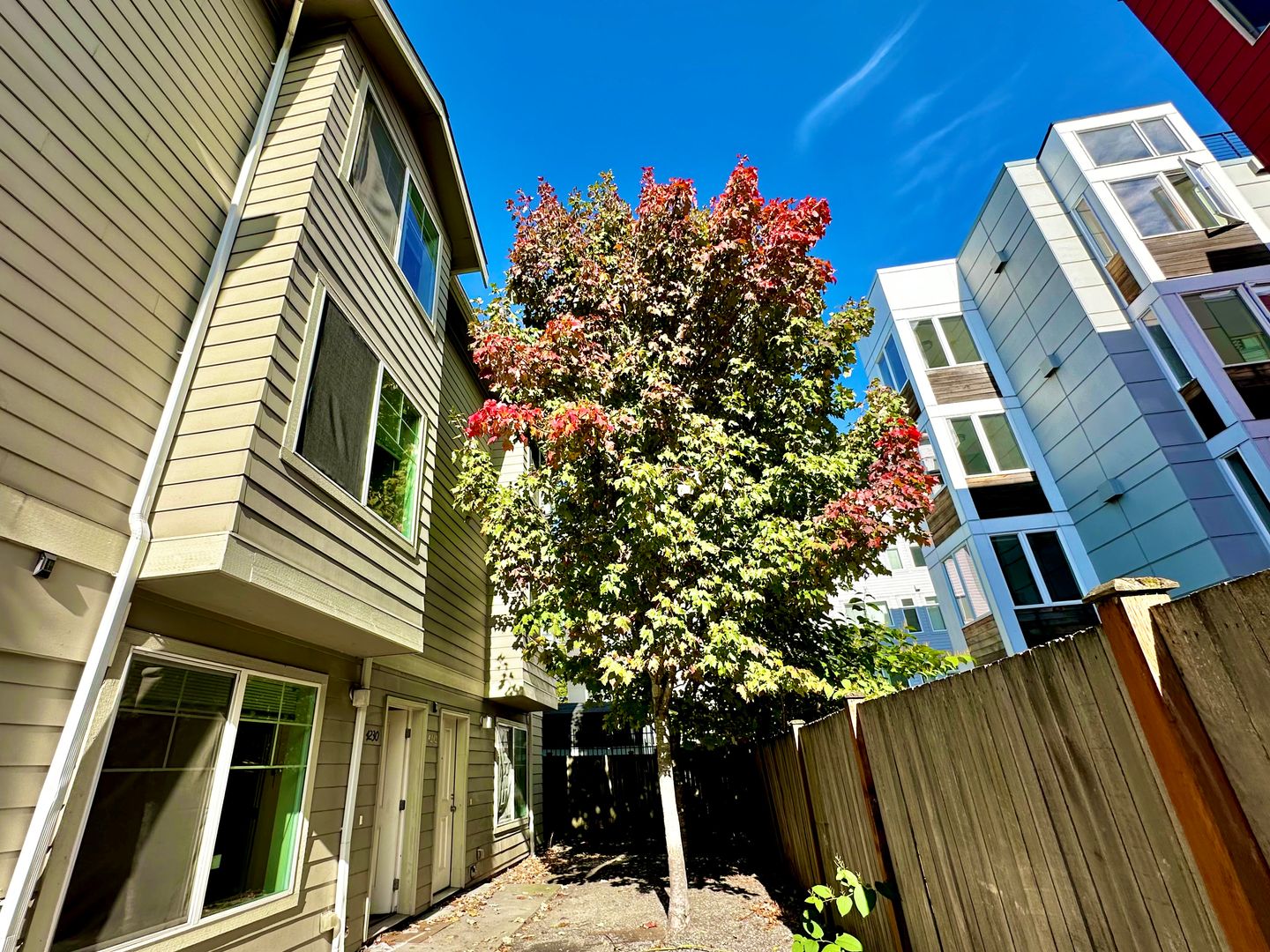 Seattle Apartment: 4218-4232 Pasadena Pl NE