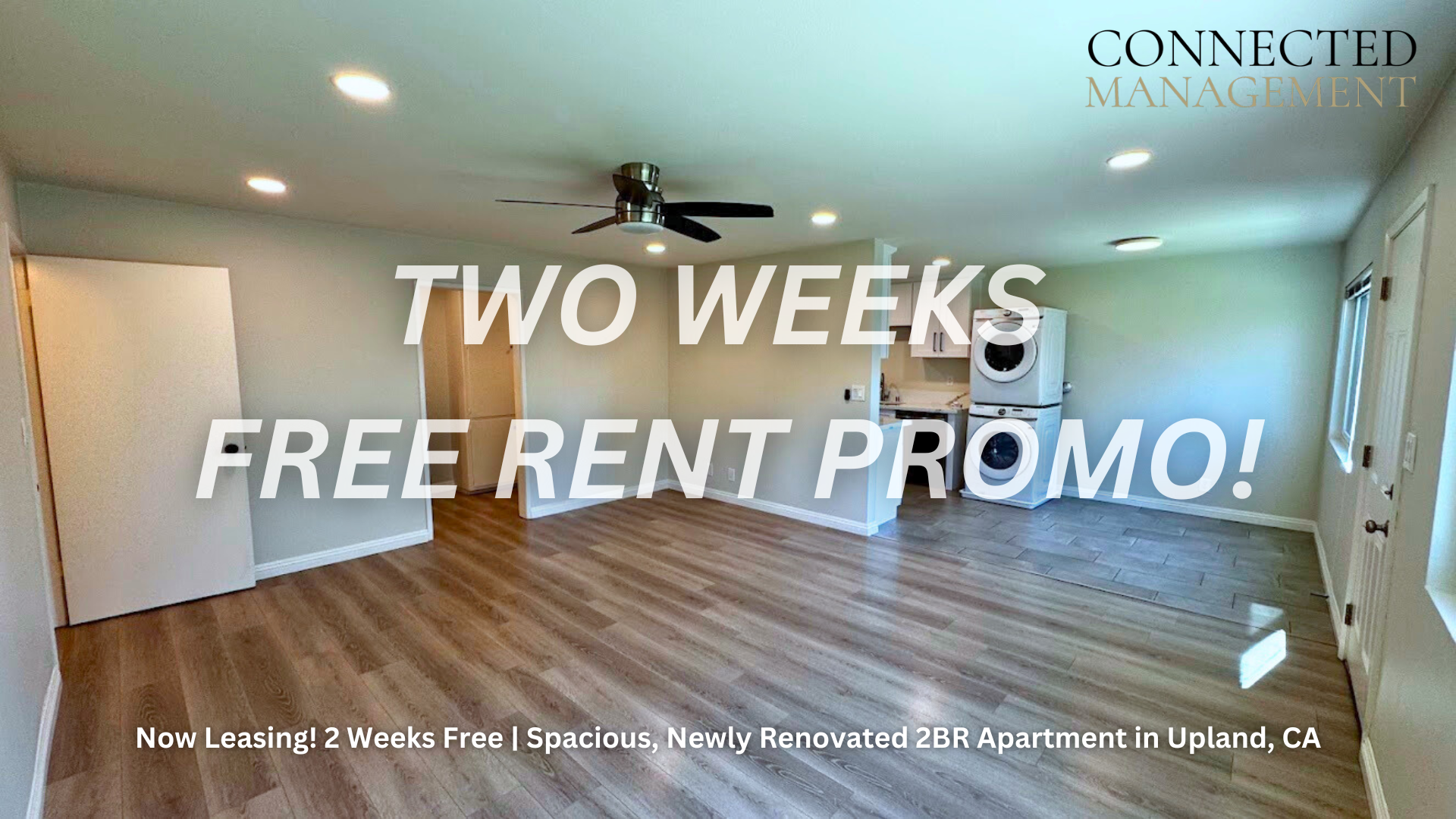 Springfield Apartments - 1354