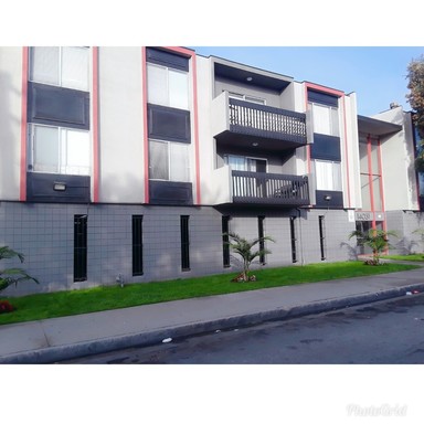 Spacious Apartments in Well Maintained, Pet Friendly Building – photo 1