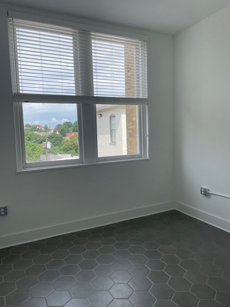 Lynchburg Apartment: 1503 Grace St