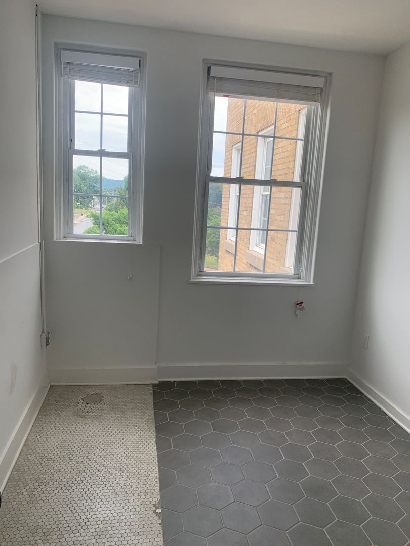 Lynchburg Apartment: 1503 Grace St