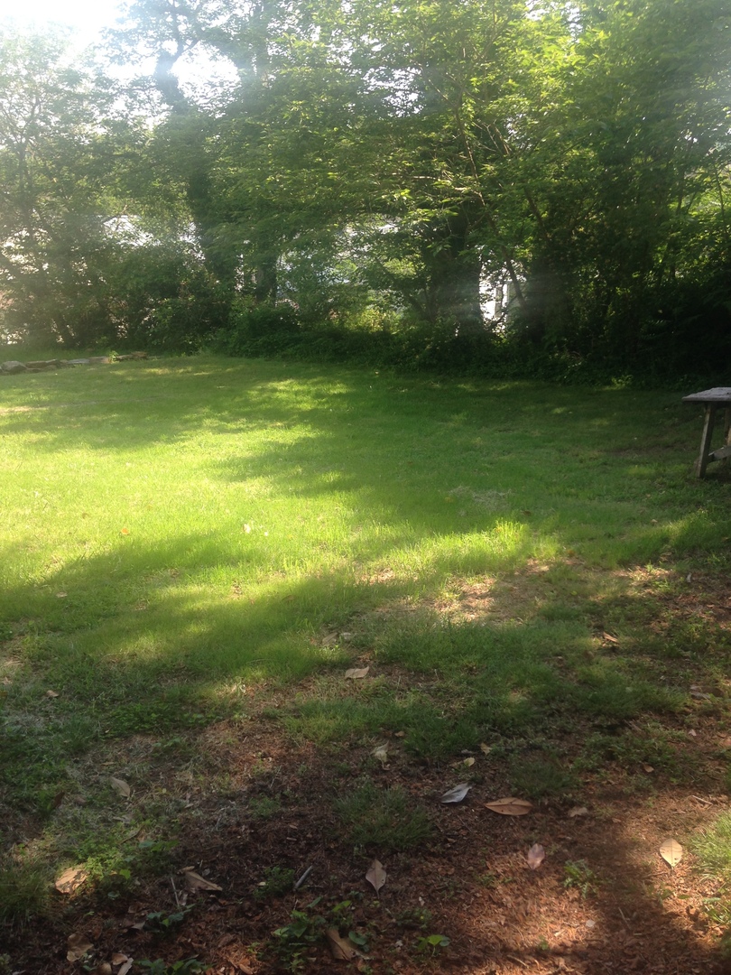 Lynchburg Apartment: 713-715 Clay Street