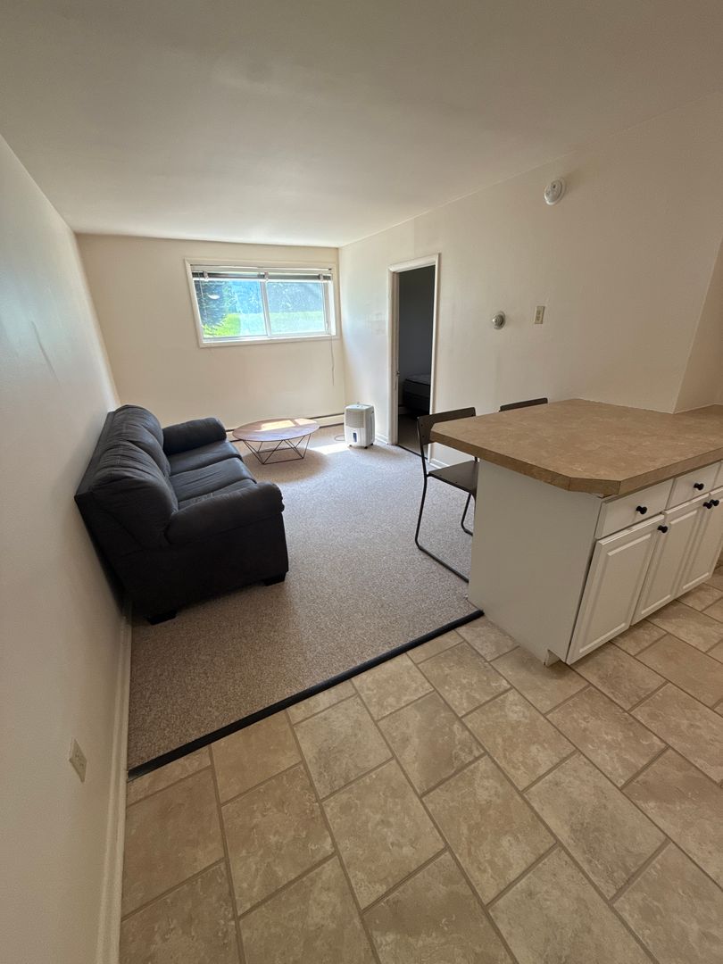 State College Apartment: 424 Waupelani Drive