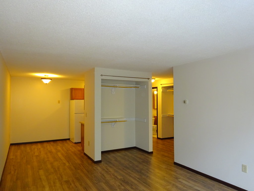 Bright Spacious Downtown 1BR in Elliot Park, Pets OK! – photo 1