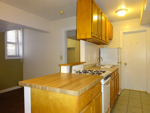 Quiet Garden Level 2BR in Loring Park, Walk Downtown, Pets OK! – photo 1