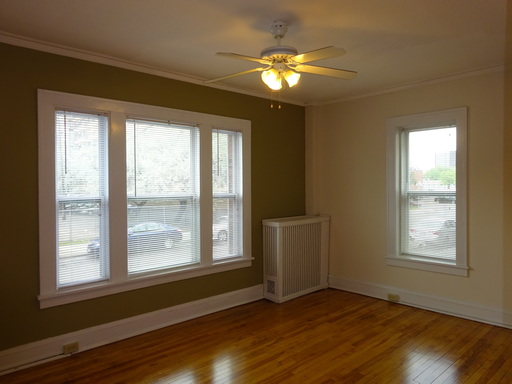 Bright Hardwood Corner One Bedroom in Elliot Park, Great Downtown View, Pets OK! – photo 1