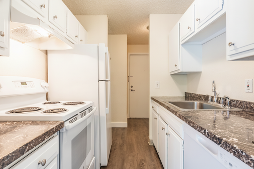2 Bedroom Updated Unit in Northgate! – photo 1