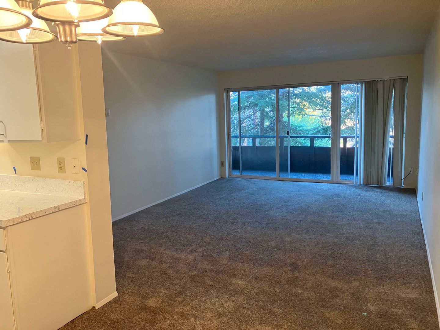 Seattle Apartment: 1221 Taylor Ave N