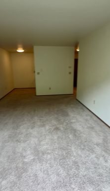 University District- Spacious One-Bedroom ✨End of August Leasing! ✨ Updated Kitchen, New Plank Flooring, Updated Kitchen, Large Windows, Patio Deck