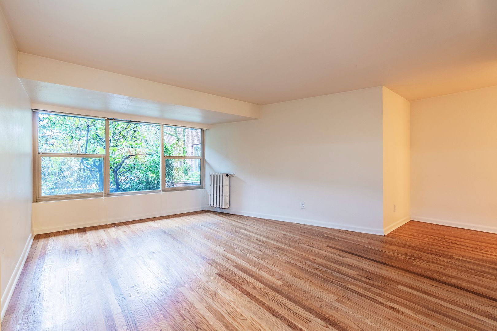 Seattle Apartment: 929 Queen Anne Ave N