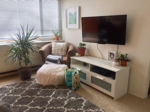 Willowbrook Apartments: Cute 1 bedroom in Meydenbauer! Parks, restaurants, close to Bellevue Square