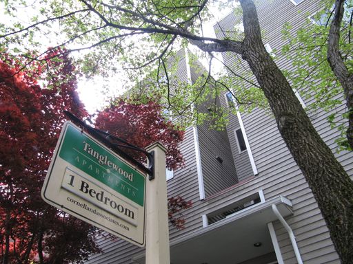 TANGLEWOOD APARTMENTS: SEPT FREE! Great 1 bedroom coming available! – photo 1